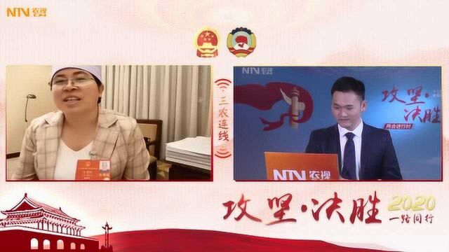 两会时间ⷤ𘉥†œ连线丨马慧娟:向世界讲述中国扶贫故事的农民作家