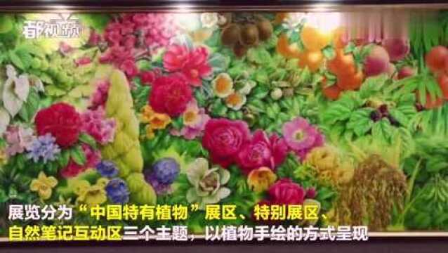 北京植物园又来了一批“中国特有植物”,不是种的是画的!