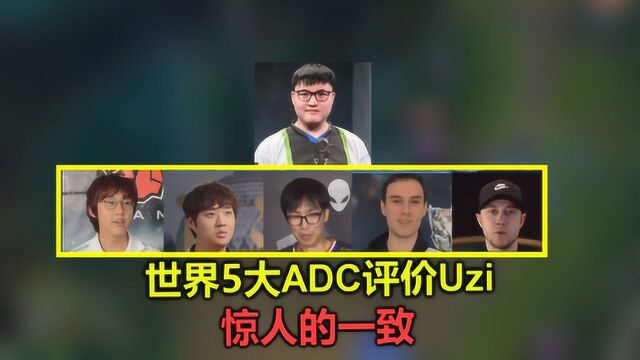 LOL:世界5大知名ADC评价Uzi,看完他们说的话,没人敢再黑小狗了