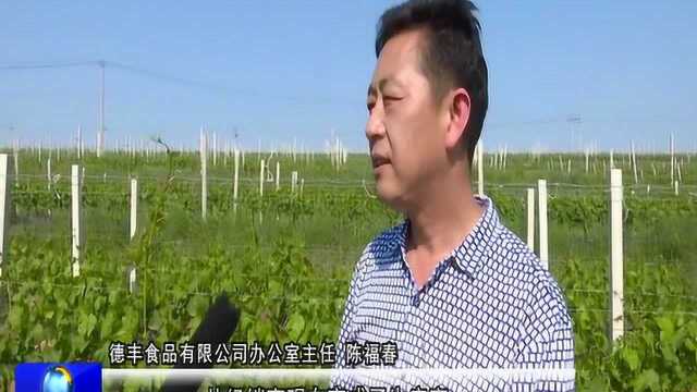 中国农科院果树研究所苹果试验站落户栖霞