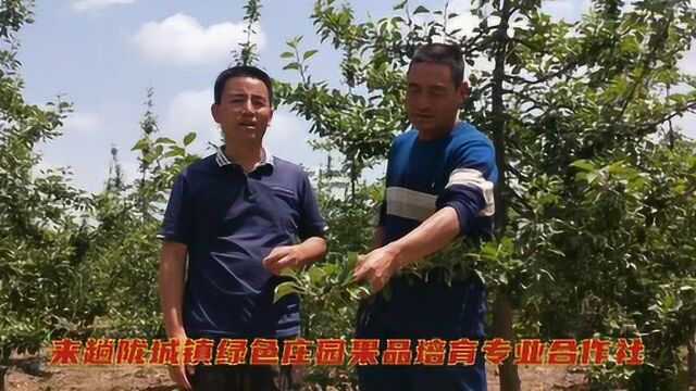 来趟陇城镇绿色食品种植专业合作社