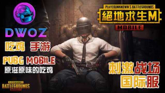 吃鸡手游pubgmobile刺激战场国际服DWOZ单四排23杀绝妙身法