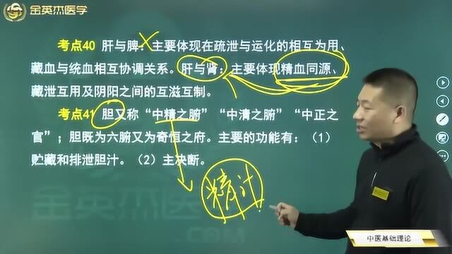 中医基础:五脏之间的关系,心与肺、肺与脾、肝与脾之间的关系是怎样的?