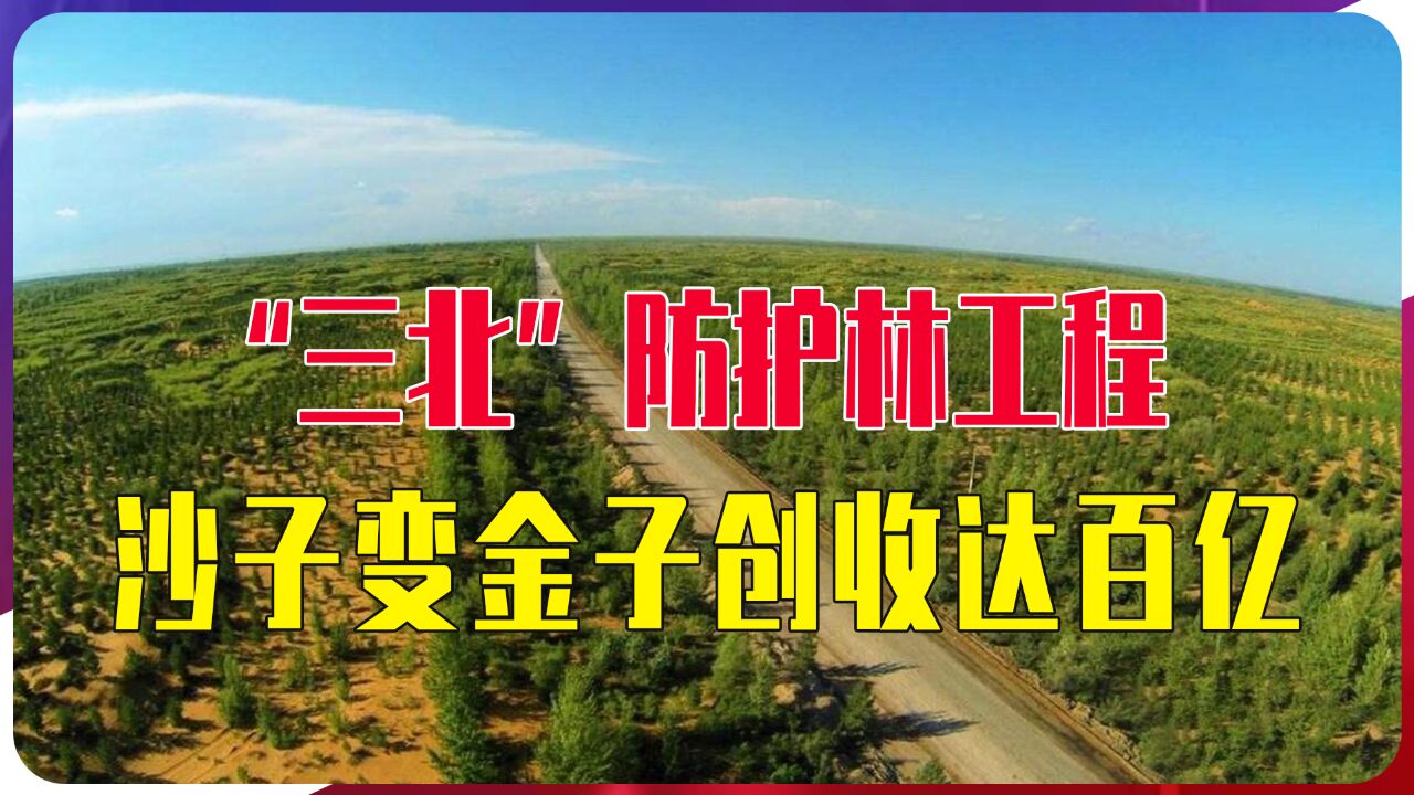 覆盖406.9万土地,“三北”防护林工程,沙子变金子创收达百亿