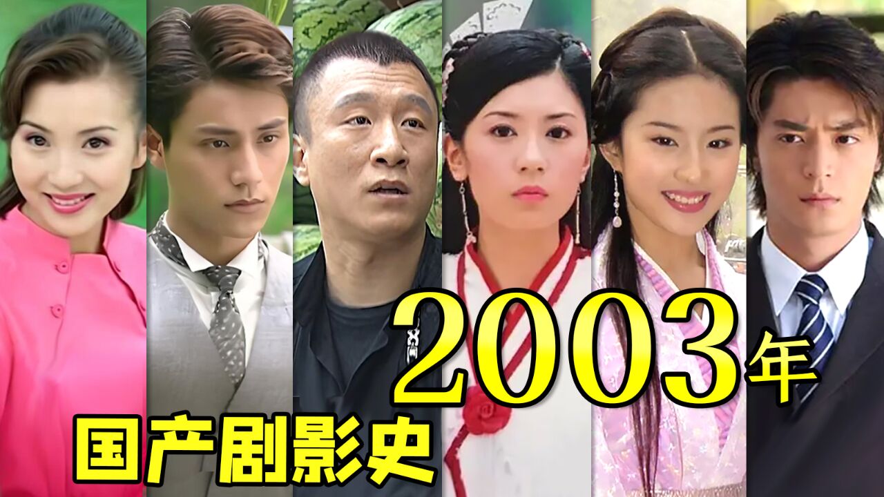 盘点2003年到底拍了多少国产剧!真的是飞跃之年啊~