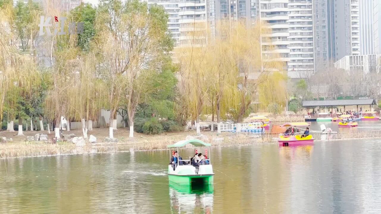 踏青沙湖公园,泛舟湖上,赏花岸边