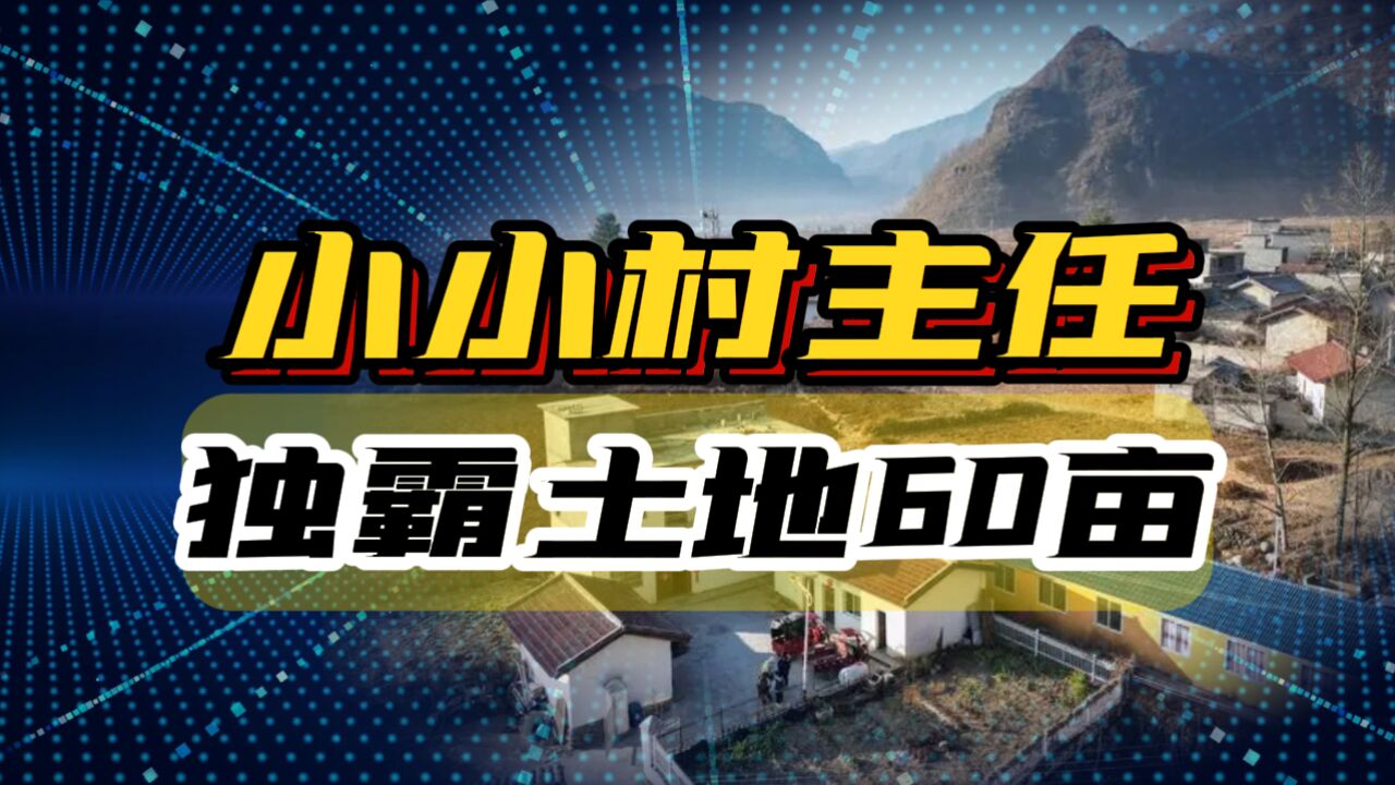 这个村火了,村主任独占60亩,建7亩豪宅,黄世仁只配给他看大门