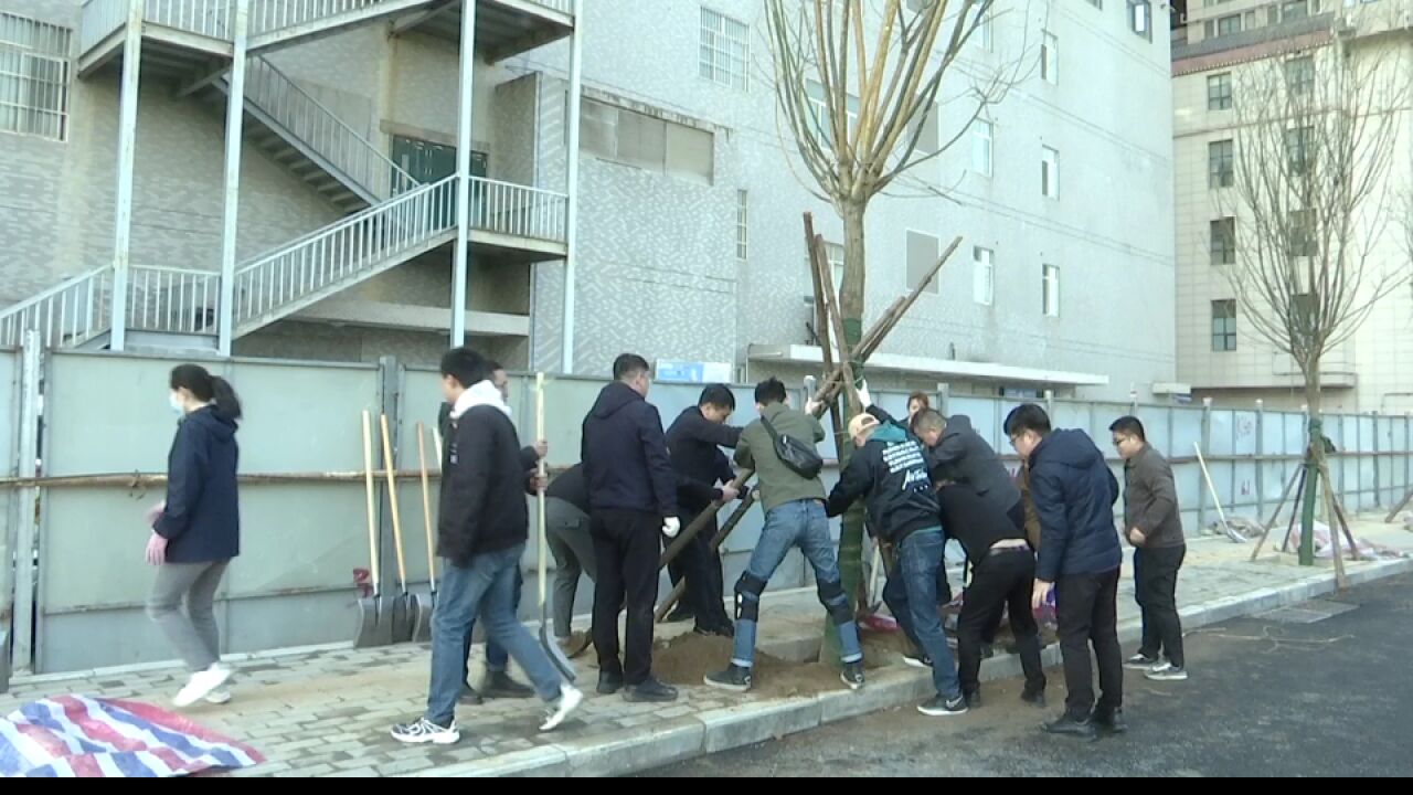 植树添绿正当时 建设者用“零碳”作画装点在建项目