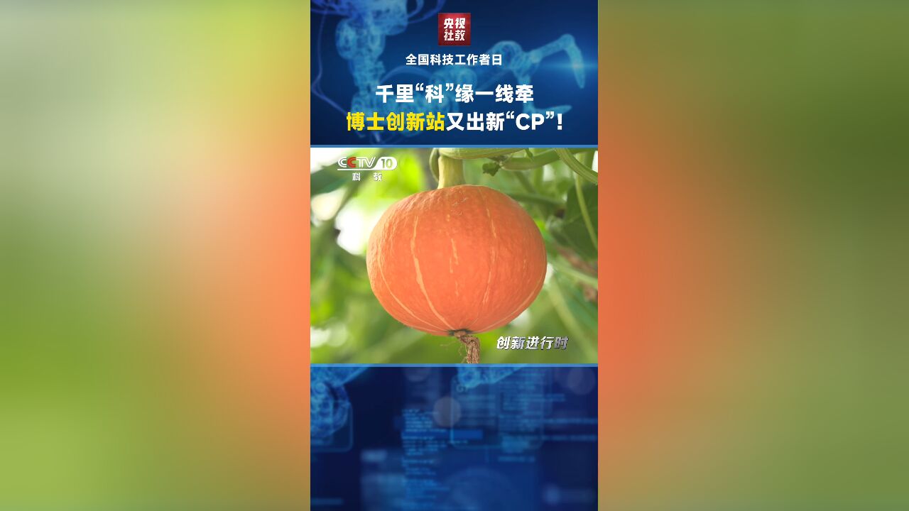 千里“科”缘一线牵!博士创新站又出新“CP”!