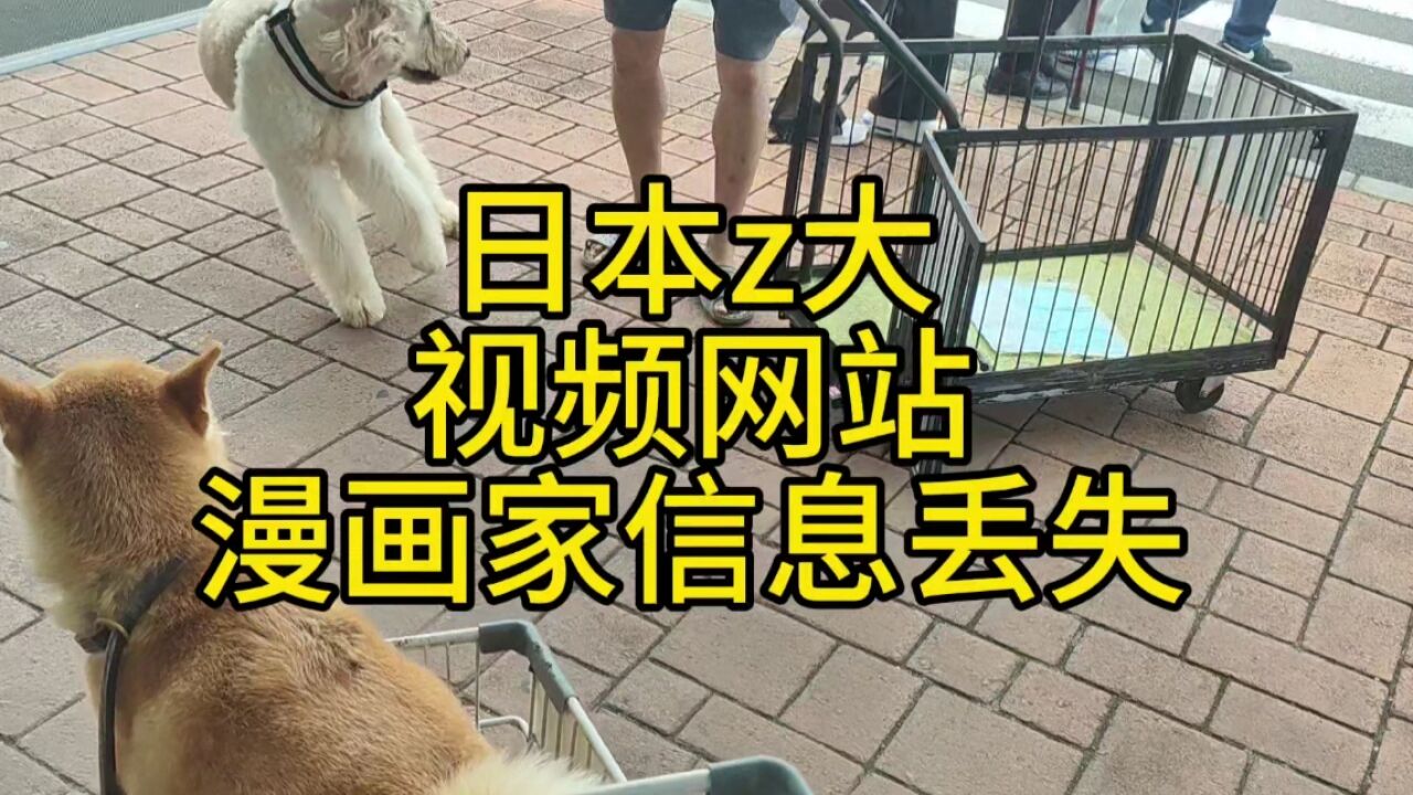 日本弹幕视频软件被黑,全体艺术家信息丢失,完犊子了