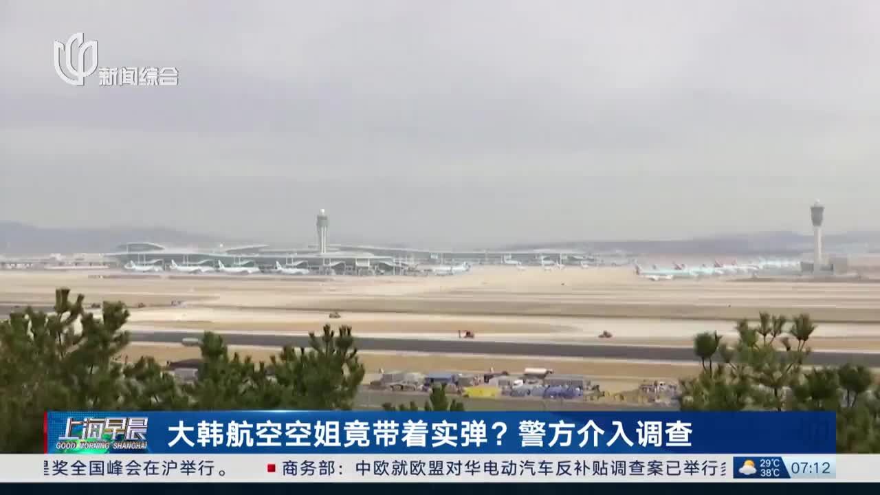 大韩航空空姐竟带着实弹?警方介入调查