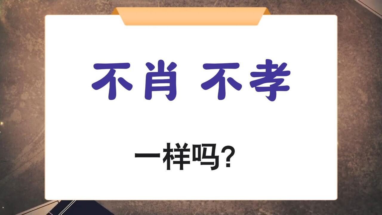 硬核知识:不肖和不孝,哪里不同?