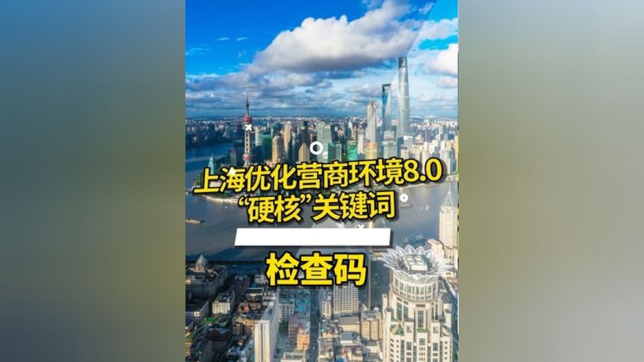 上海优化营商环境 8.0 “硬核”关键词:检查码