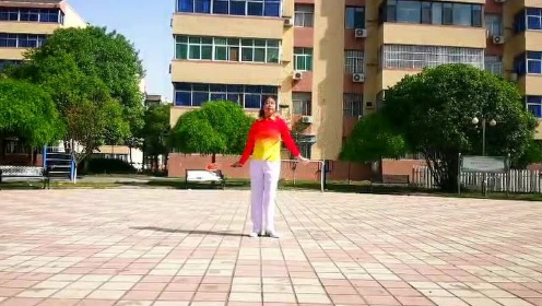 GNSH469+花式-个人+河南省焦作市柔力球协会 李虹+《飞龙一套》