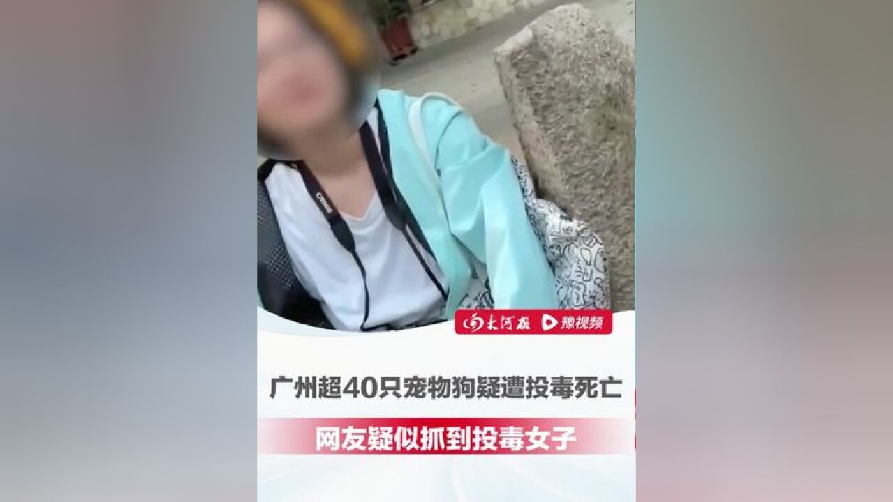 11月19日,广州超40只宠物狗疑遭投毒死亡 ,网友疑似抓到投毒女子后被反问:我犯什么法了?