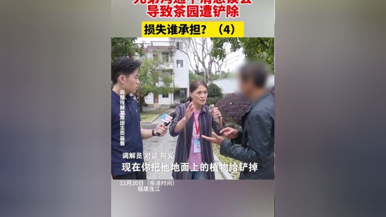 兄弟沟通不清惹误会导致茶园遭铲除,损失谁承担