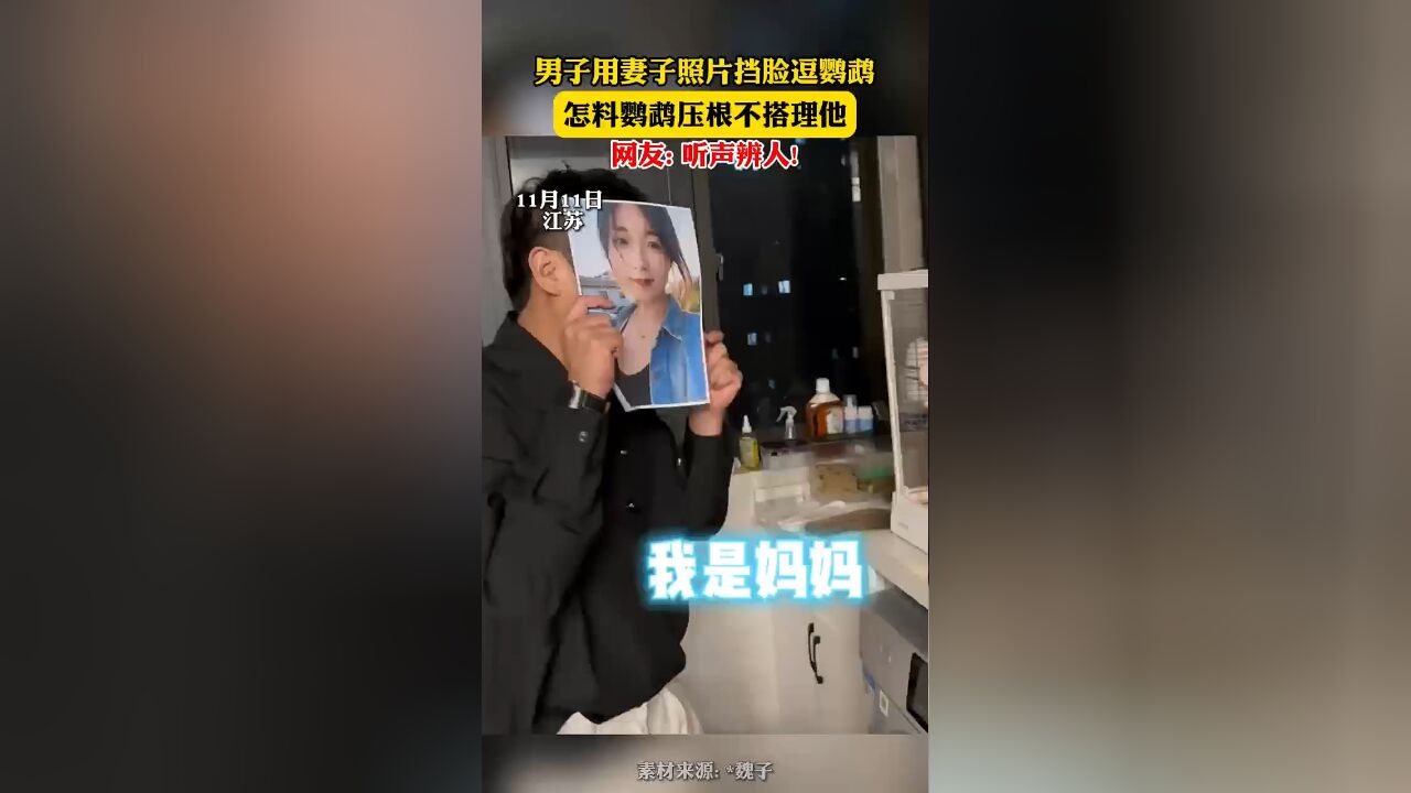 男子用妻子照片挡脸逗鹦鹉,怎料鹦鹉压根不搭理他