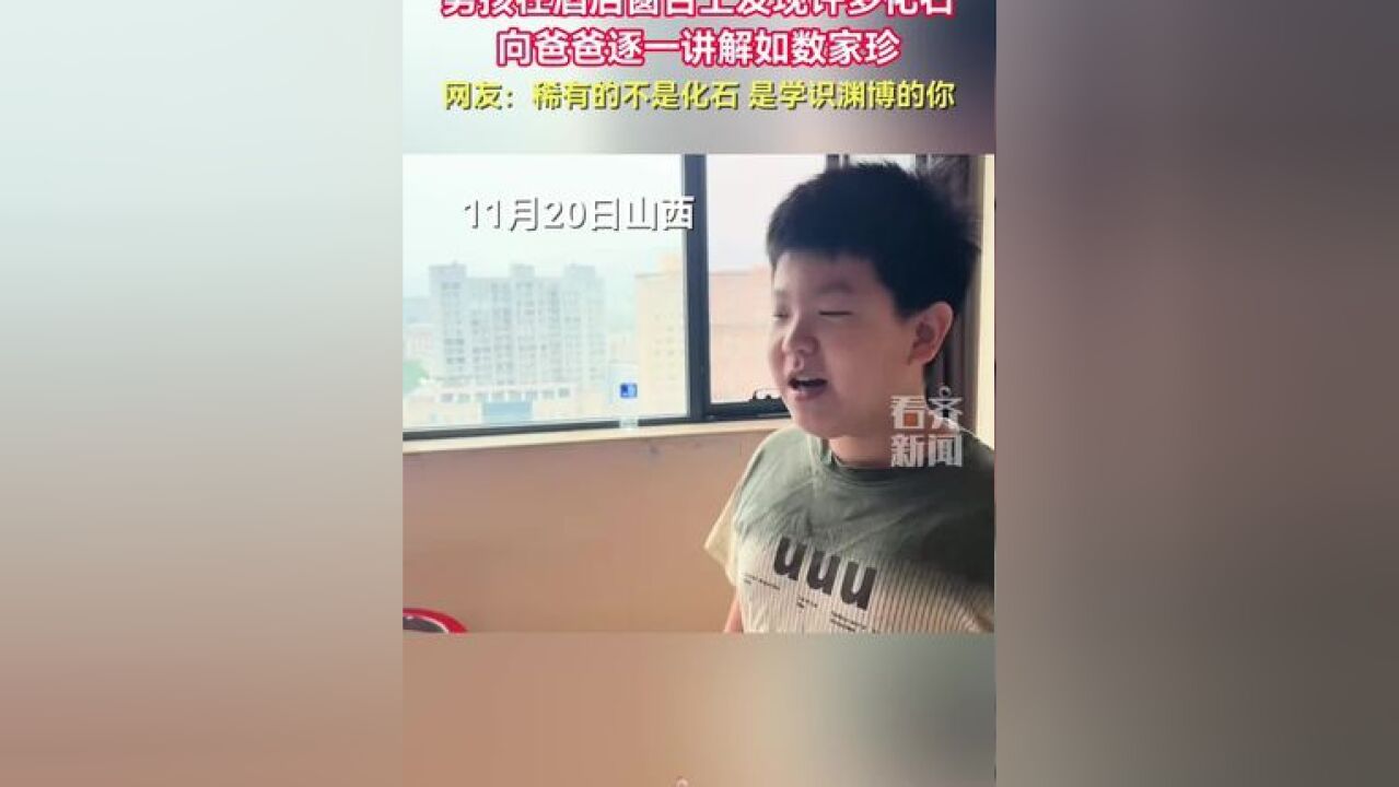 男孩在酒店窗台上发现许多化石向爸爸逐一讲解如数家珍