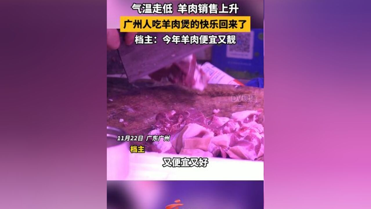 气温走低,羊肉销售上升!档主:今年羊肉便宜又靓