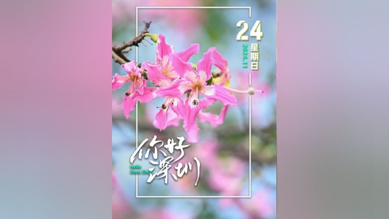 生活可以忙碌,但心态要从容, 闻闻花香,听听鸟鸣;平淡中也起涟漪,繁杂中也存美好