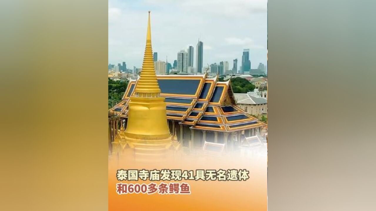 近日,泰国寺庙发现41具无名遗体和600多条鳄鱼