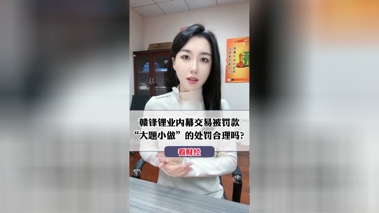 赣锋锂业内幕交易被罚款,“大题小做”的处罚合理吗?