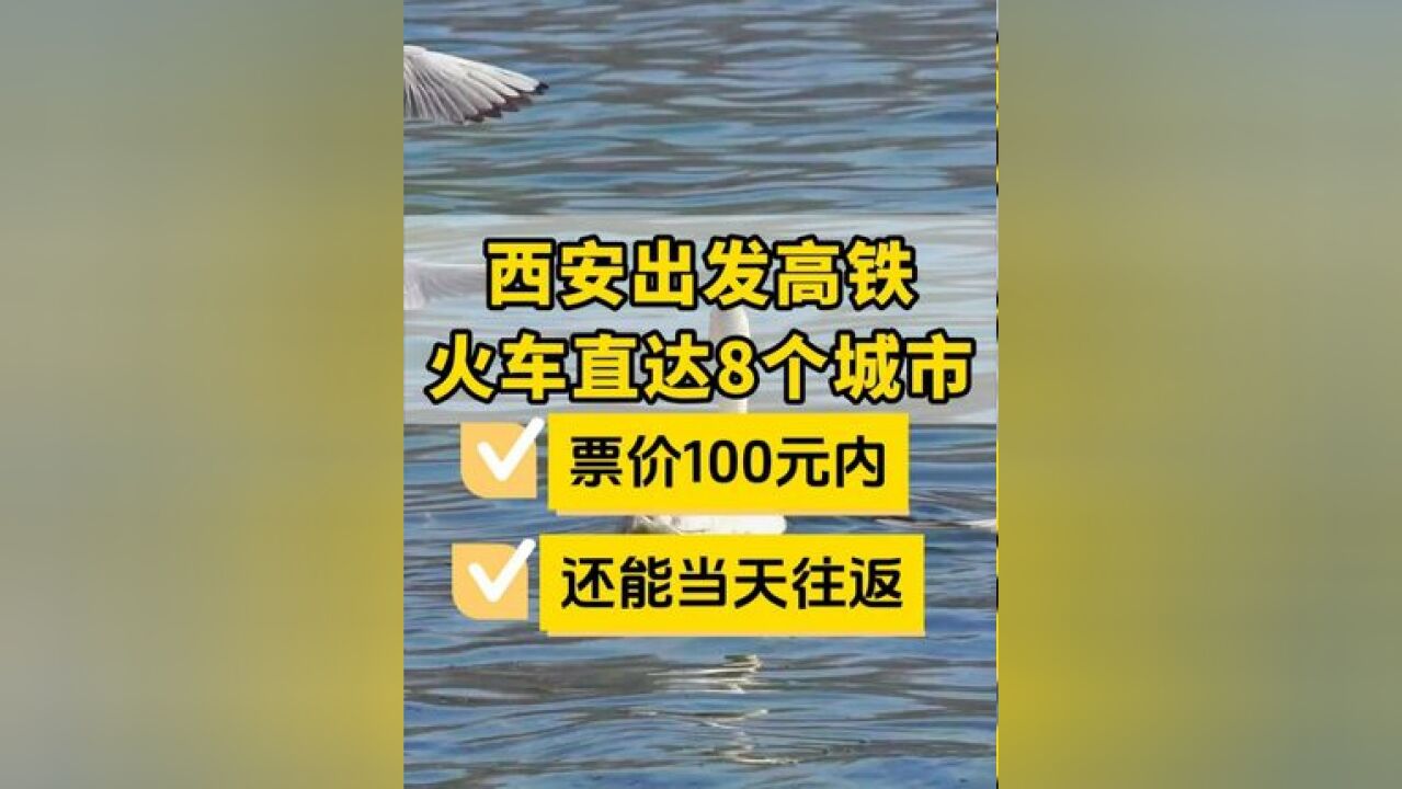 西安出发高铁火车能当天往的返宝藏城市 西安周边最适合一日游的城市,好看景美,车票划算,非常适合周末出行