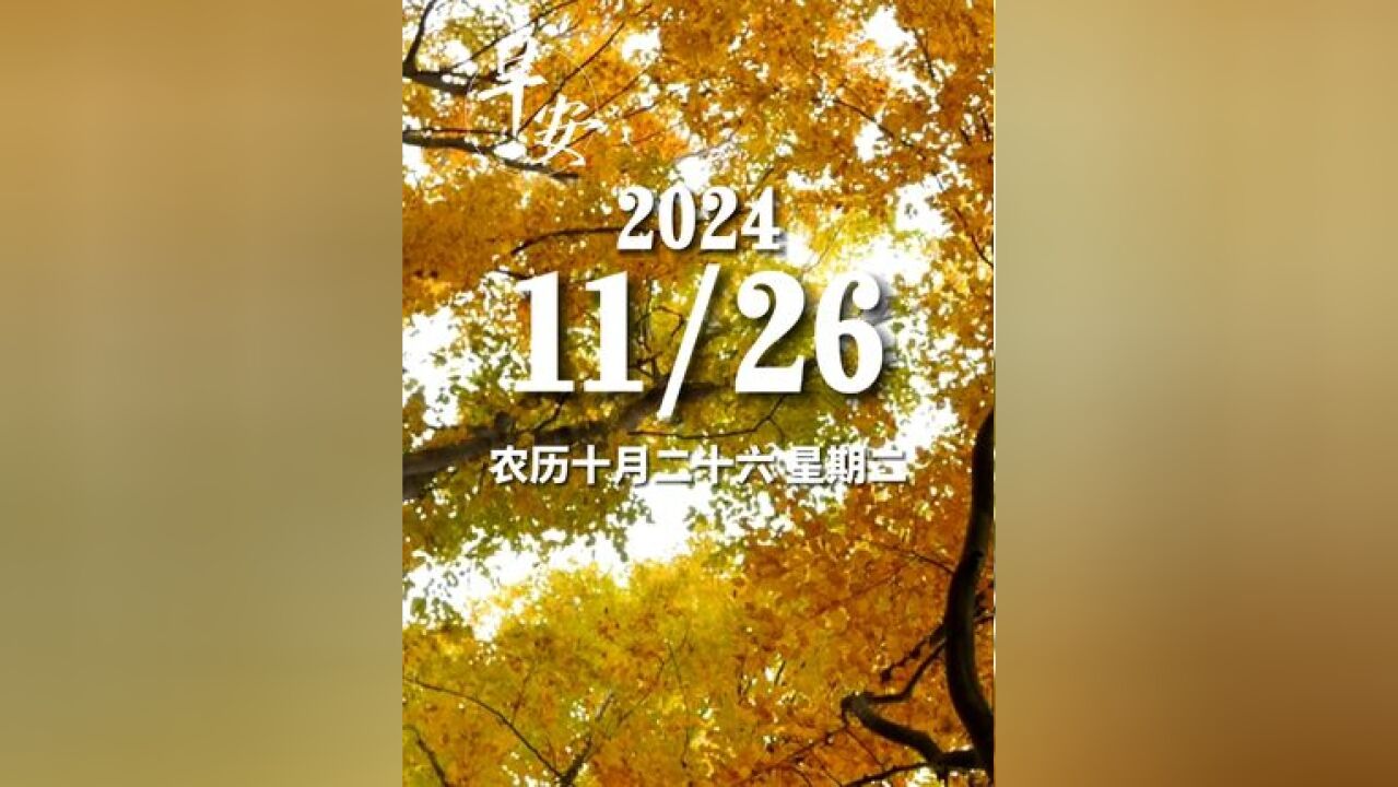 早安青岛 今天是11月26日 星期二 早安 做自己心中的那束光,无需借助他人的光芒