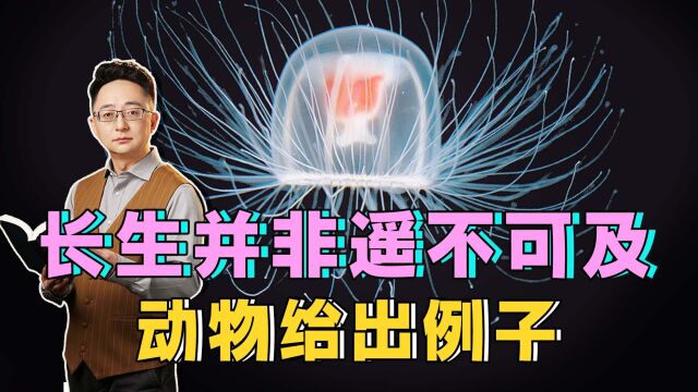 从生物学角度,怎样才能实现长生不死呢?解决技术,有两种可能