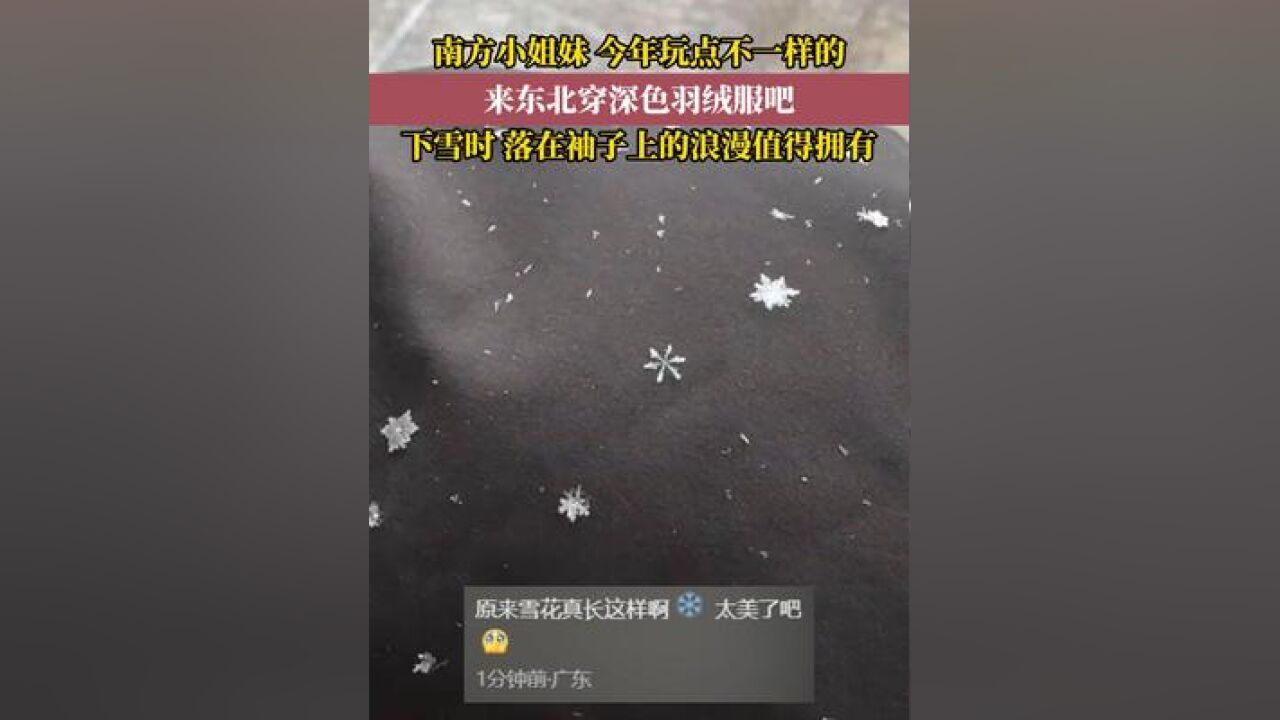 请你看漂亮的小雪花~