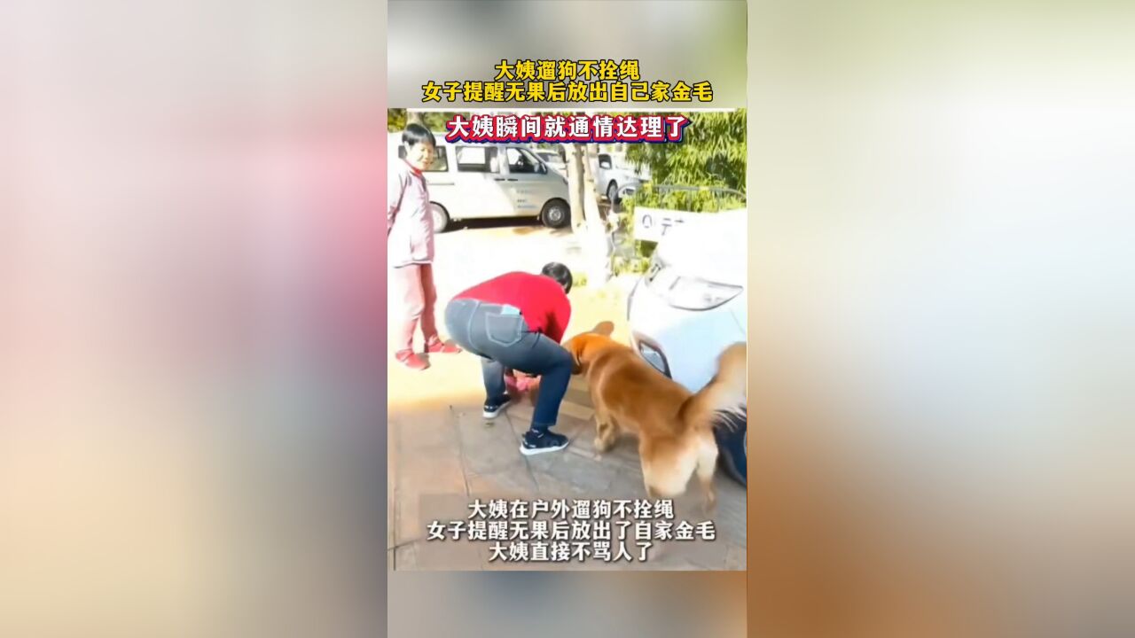 大姨遛狗不拴绳,女子提醒无果后放出自己家金毛,大姨瞬间就通情达理了