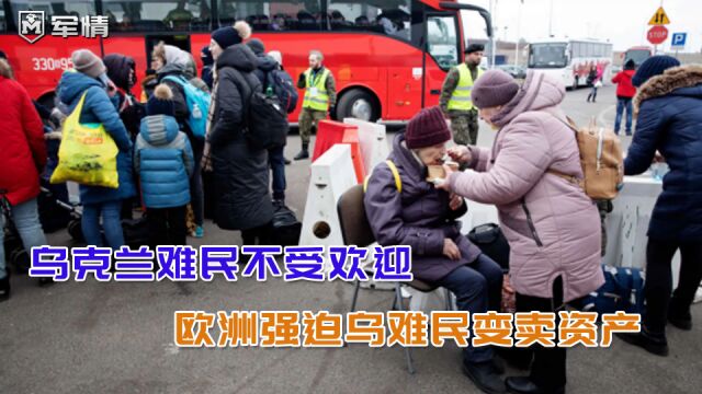 瑞士命令乌克兰难民强制卖车:有车证明还有钱,有钱代表无需补助