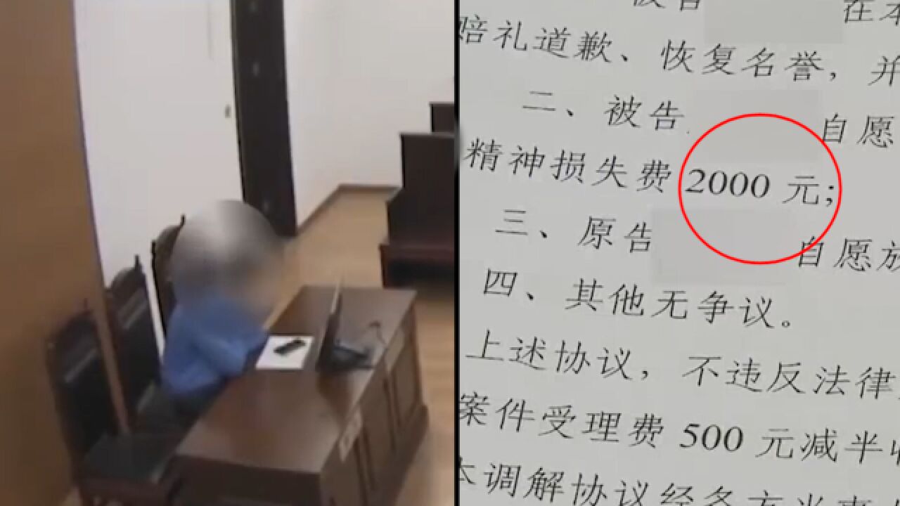 同事发生矛盾,报复去工作群辱骂污蔑被起诉:侵犯名誉权判赔2000元