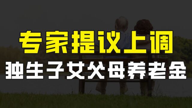 专家提议特殊福利待遇,为独生子女父母上调养老金,您支持吗