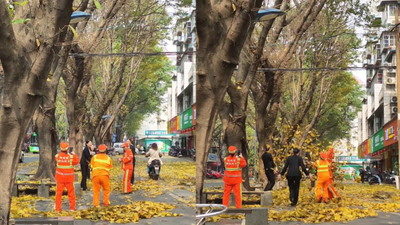 摄影爱好者拍下温馨一幕:几名环卫工阿姨在街边,和路人一起抛落叶拍照