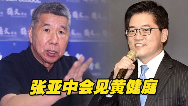 不满国民党将采征召确定2024“大选”候选人,张亚中会见黄健庭