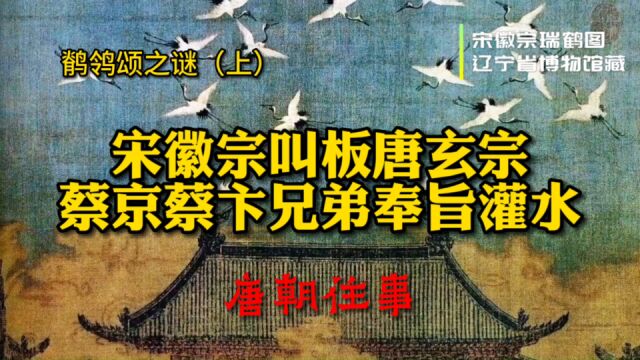 唐玄宗、宋徽宗和鲁迅:对待鸟的不同心情,鹡鸰颂蕴涵的政治诉求