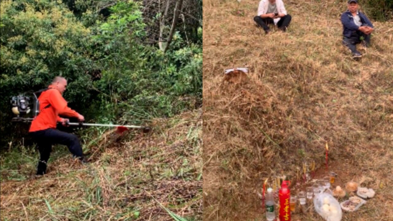 一家人上山拜祖,割草忙半天发现拜错了,翻照片发现去年也拜错了