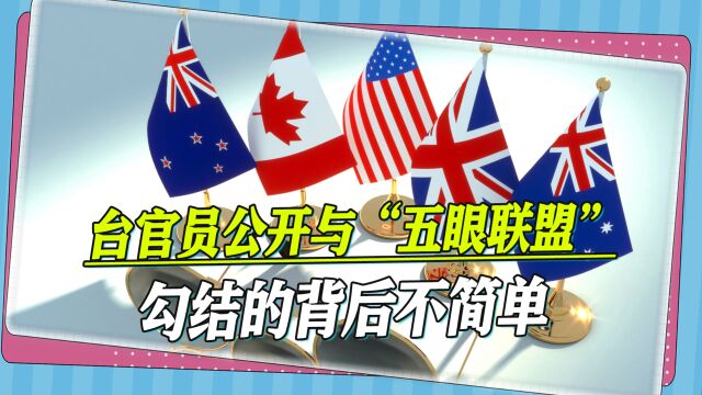 “五眼联盟”介入台海,台湾作家揭露细节:美国在向大陆释放信号