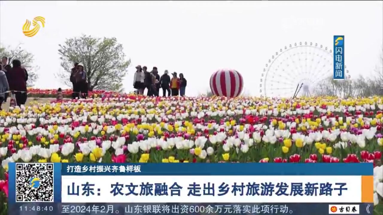 山东:“农文旅融合”绘就乡村旅游发展新图景,带动村民增收致富