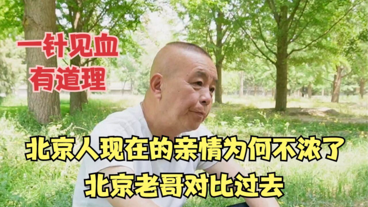 北京人现在的亲情为何不浓了,北京老哥对比过去,一针见血有道理