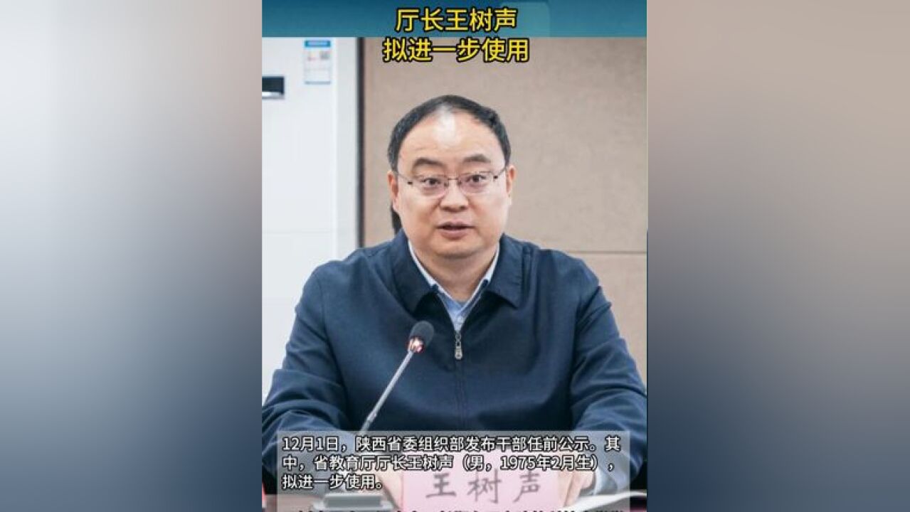 厅长王树声,拟进一步使用