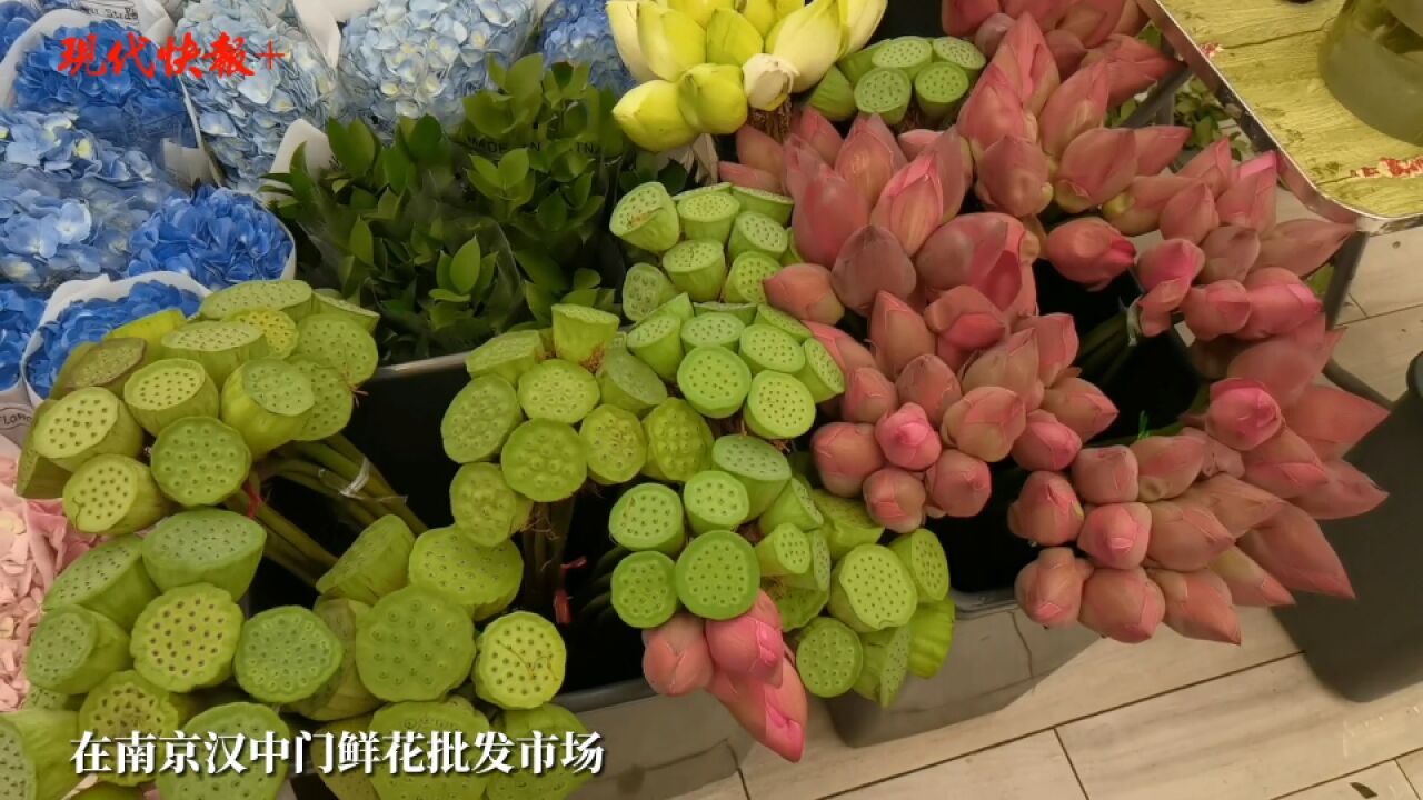 夏日“荷”风起,鲜切荷花、莲蓬上市俏销