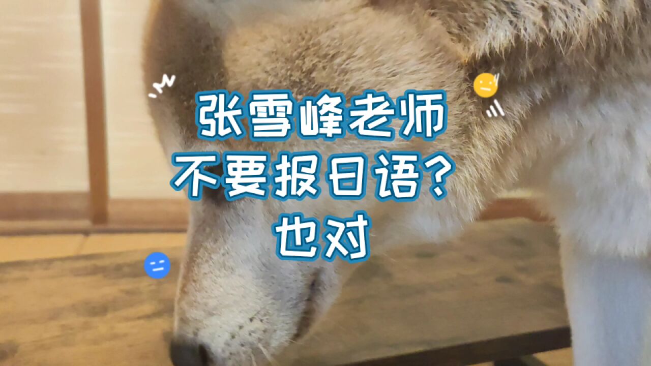 张雪峰不要报小语种,嗯 只是日语没错