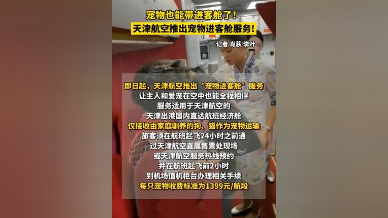 宠物也能带进客舱了 !天津航空推出宠物进客舱服务 !