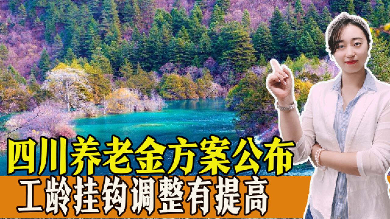 2023年四川养老金方案公布,工龄挂钩调整提高了,还有哪些看点?