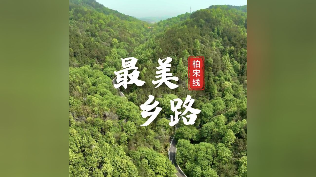 最美乡路“柏宋线”:一半人间烟火,一半“诗与远方”