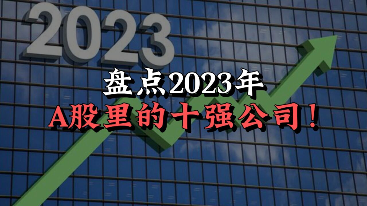 盘点2023年,A股里的十强公司!