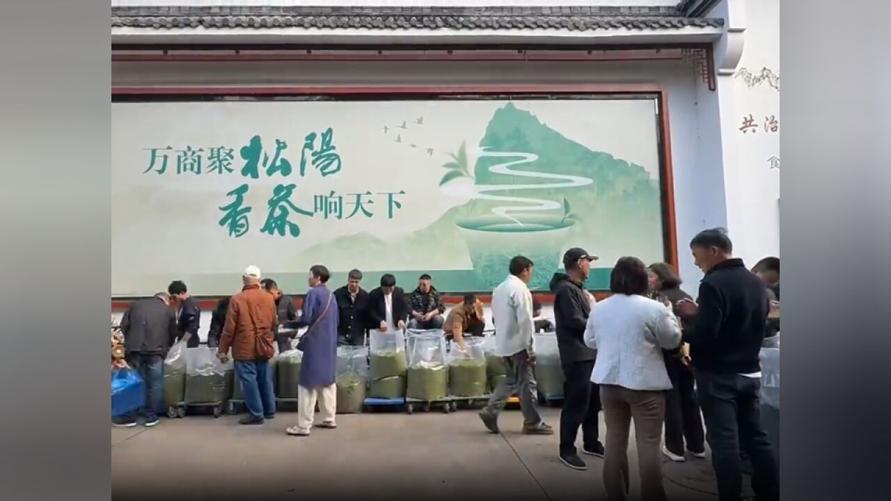 明前茶市忙 松阳浙南茶叶市场人头攒动