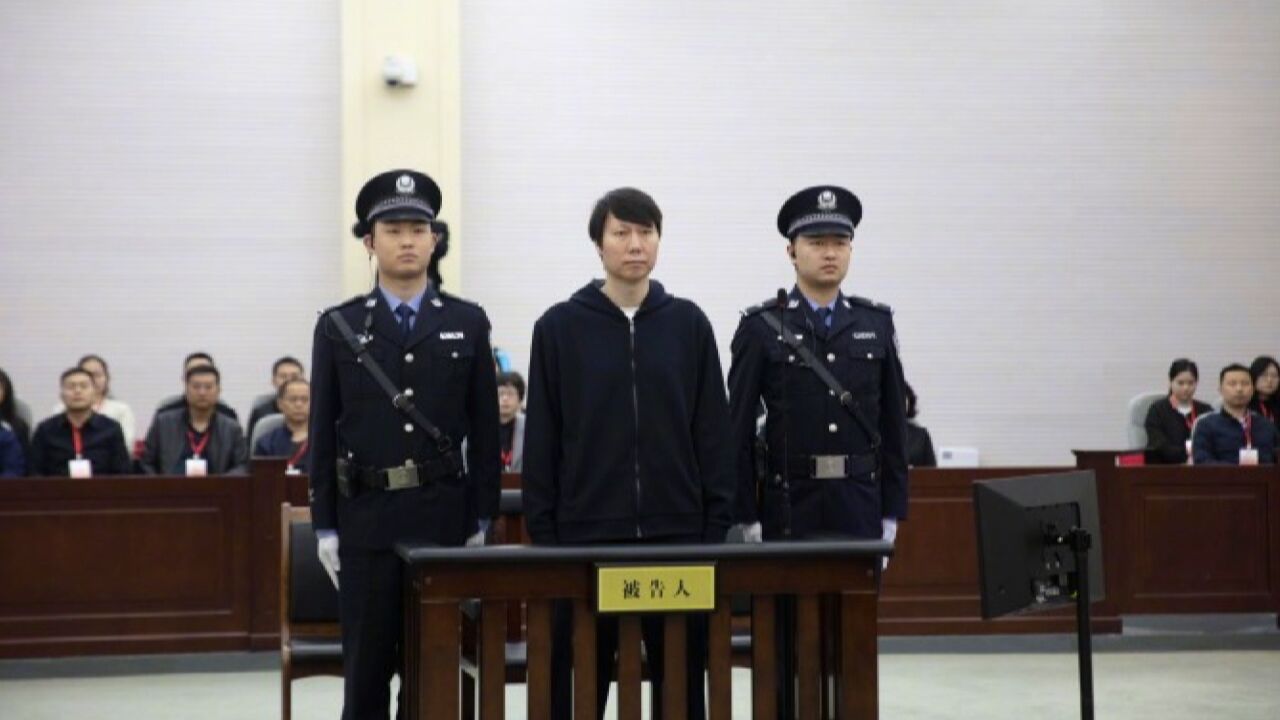 李铁案一审历时12小时,被控五宗罪涉案超1亿元,当庭认罪悔罪